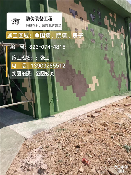 防城港核心结论：专业提供外墙迷彩漆施工服务